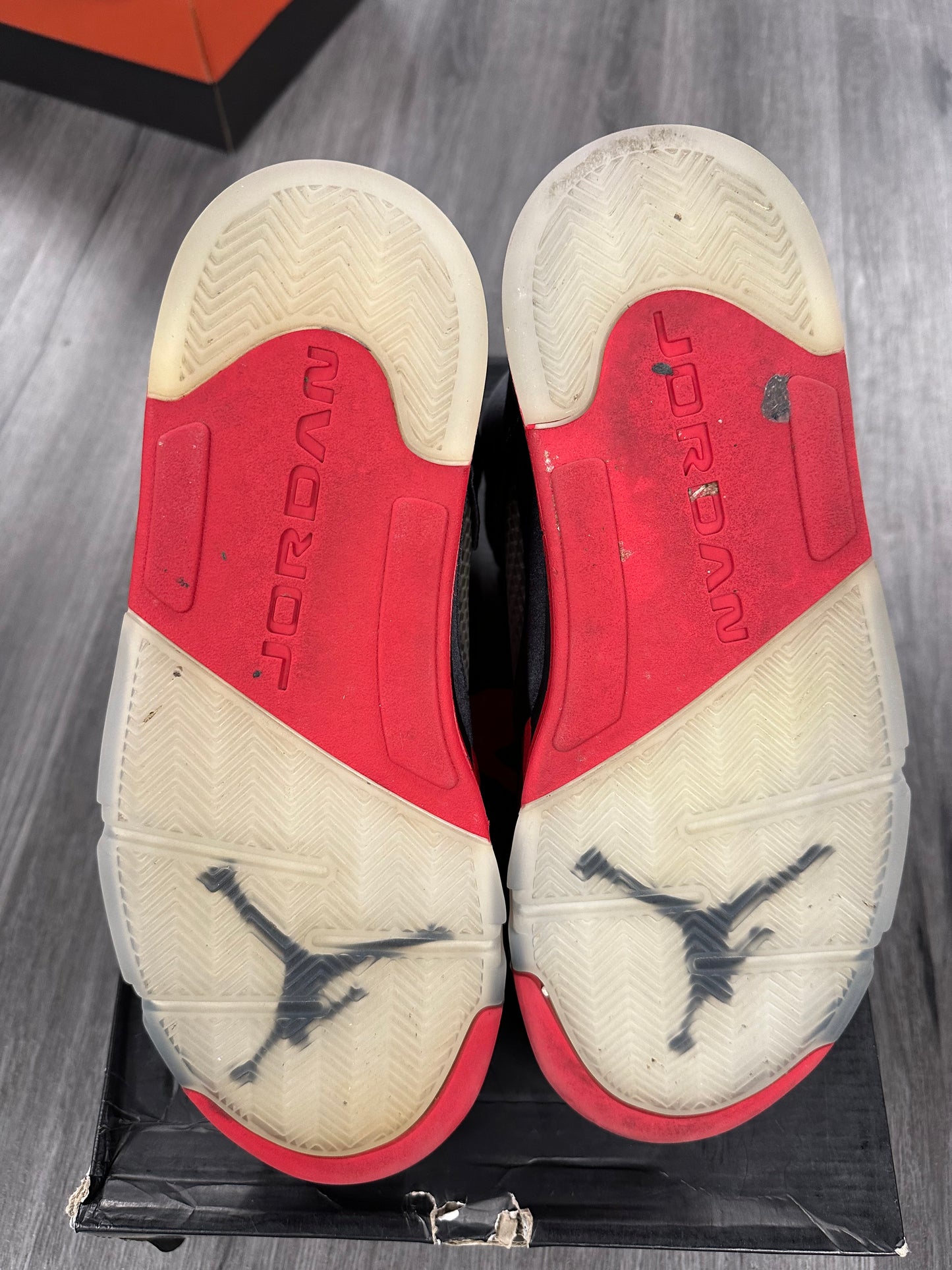 2018 AJR 5 "Satin Bred"