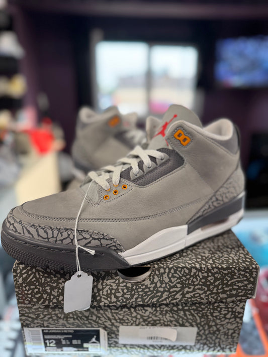 2021 Air Jordan Retro 3 "Cool Grey"
