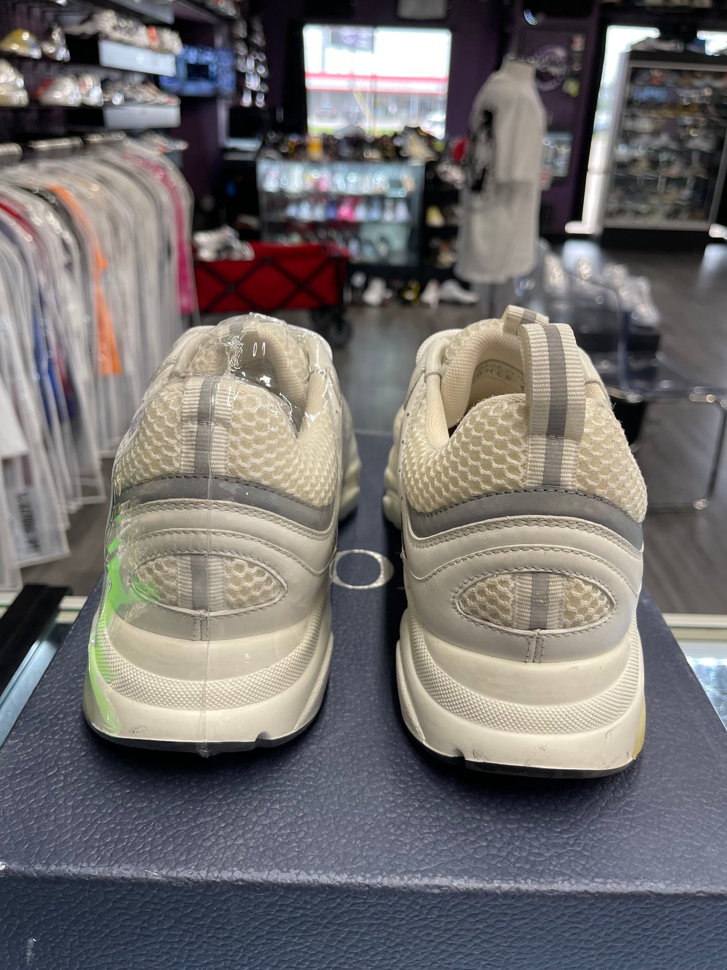 Christian Dior B22 "White/Silver"
