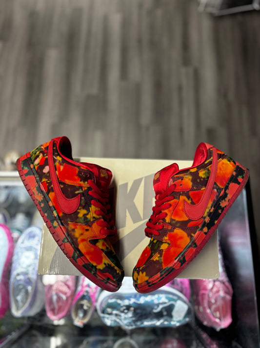 2024 Nike SB Dunk Low "The Wizard of Oz Poppy"