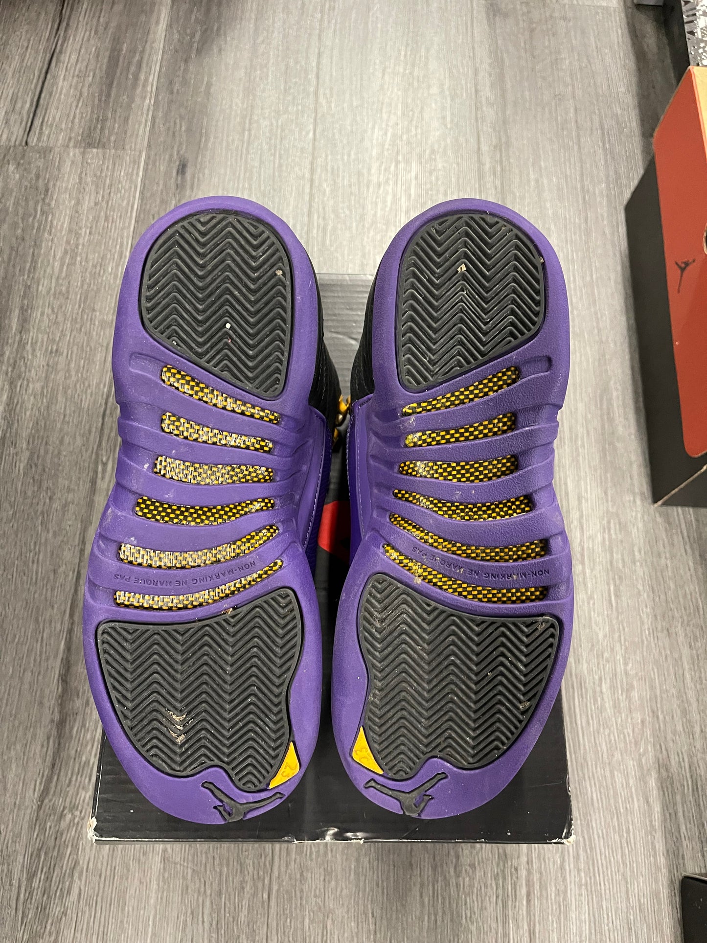 2023 Air Jordan Retro 12 "Field Purple" (GS)