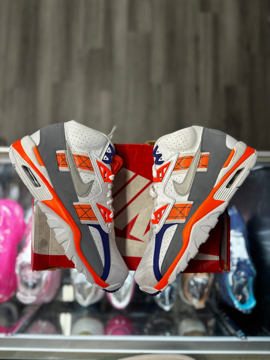 2013 Nike Air Trainer SC High Premium QS "Ohio State"