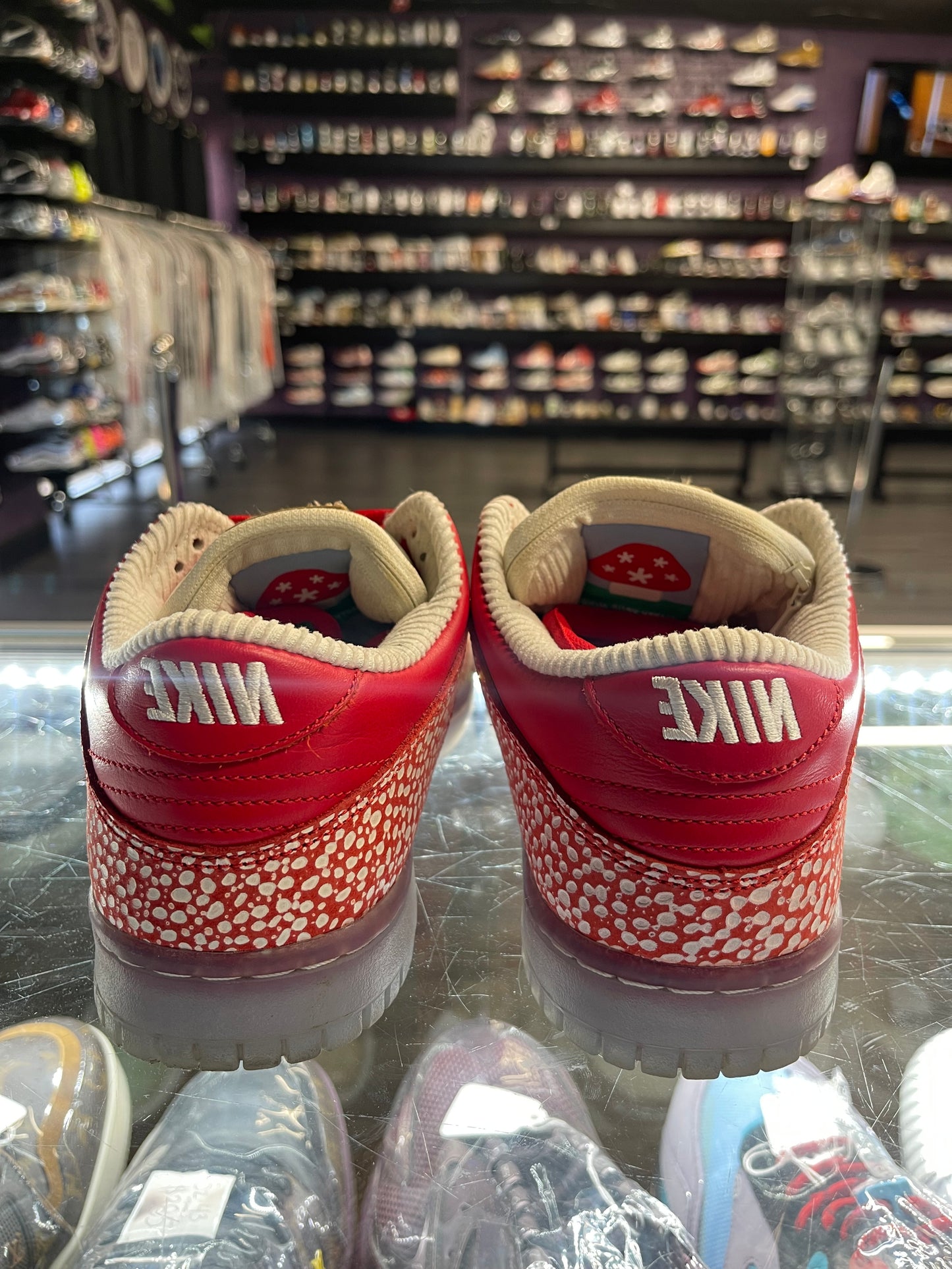 2021 Nike SB Dunk Low "Stingwater Magic Mushroom"
