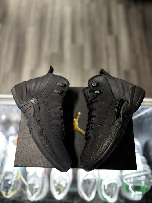 2018 Air Jordan retro 12 Winter "Black" (GS)