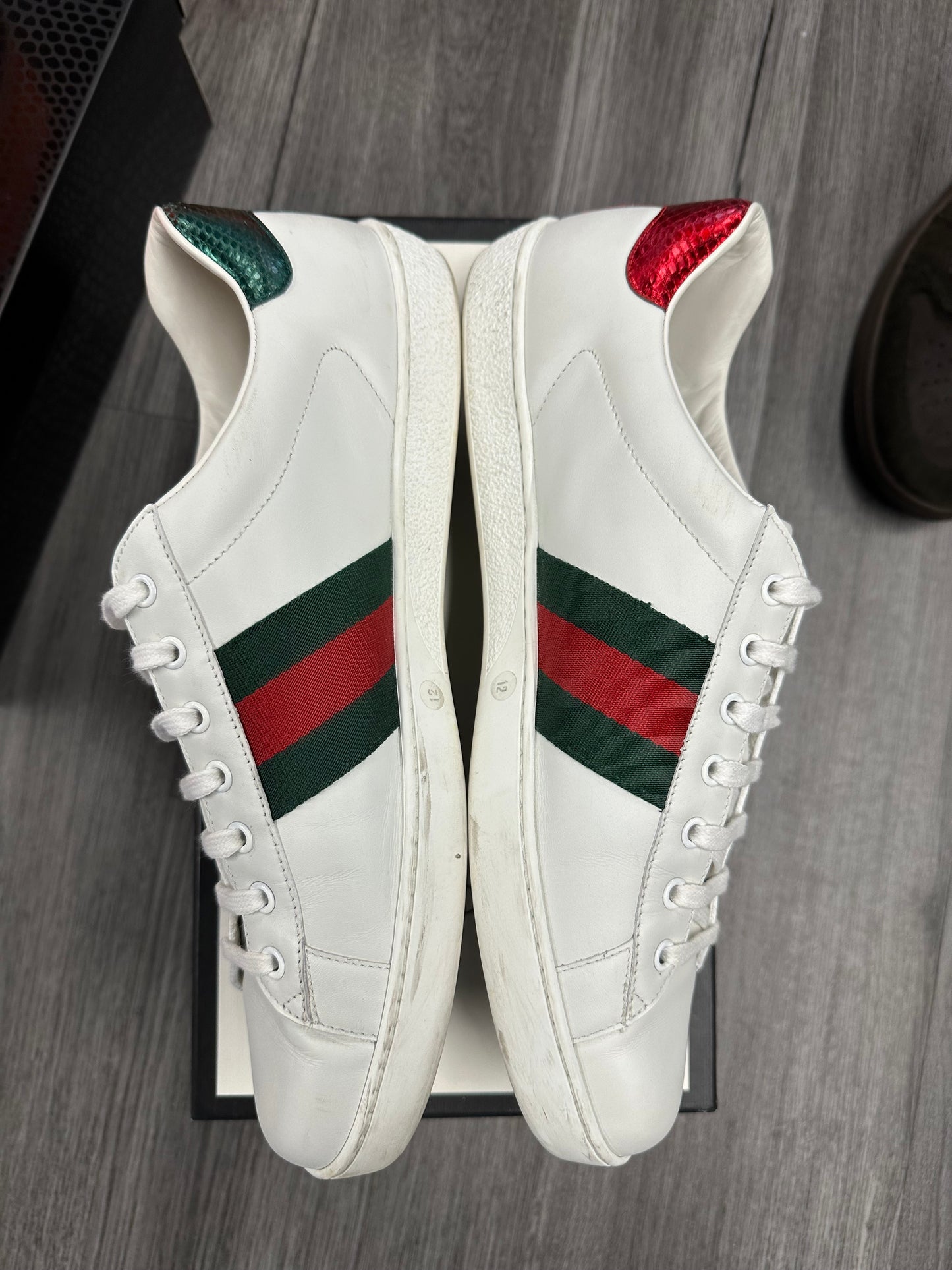 Gucci Ace Low "White/Snake"