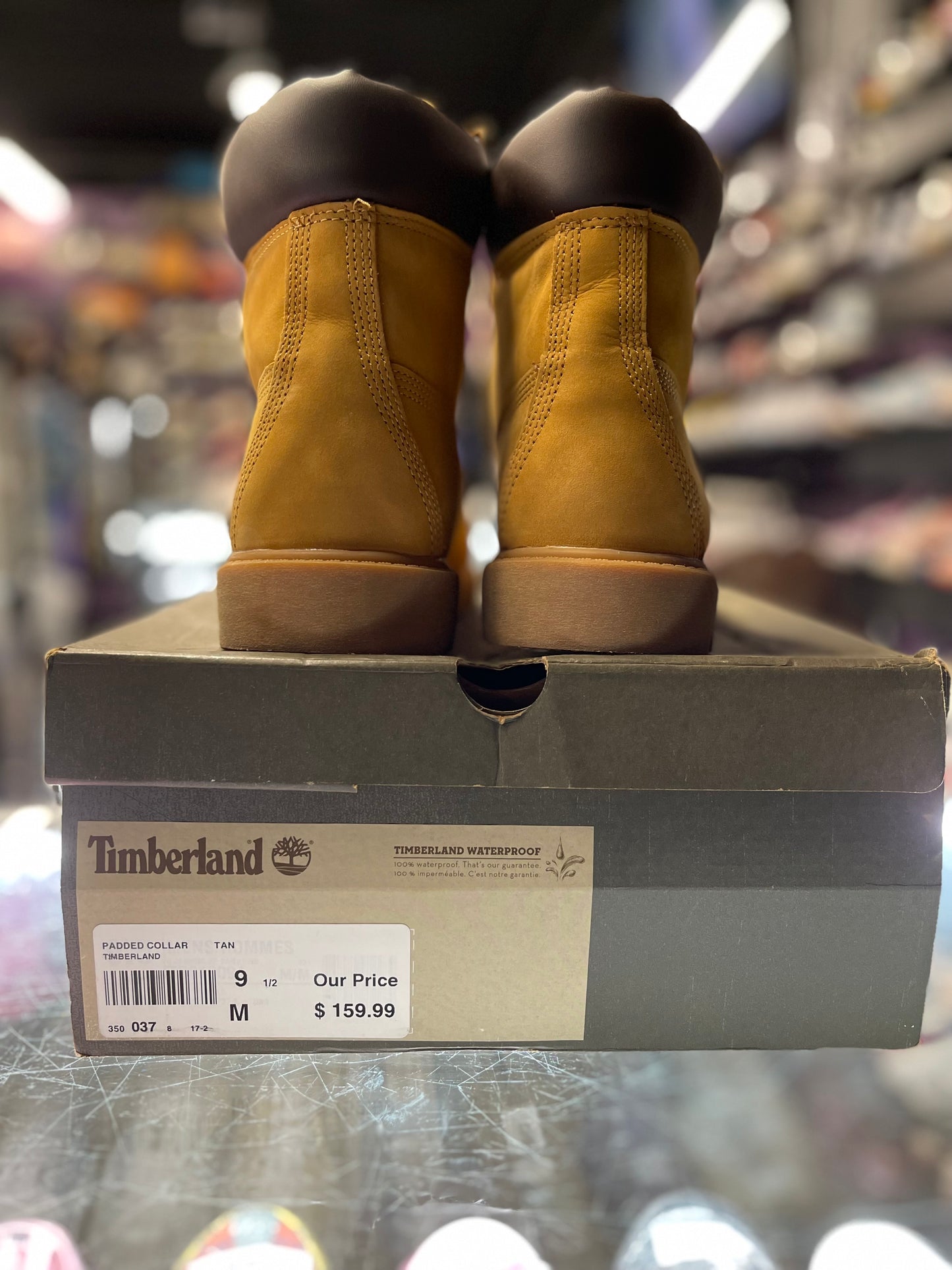 Timberland 6" Premium Boot "Wheat"