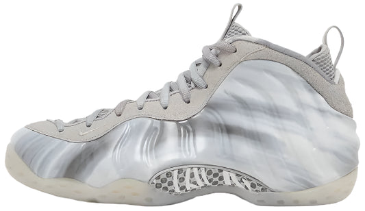 2023 Nike Air Foamposite One "Dream A World Grey"