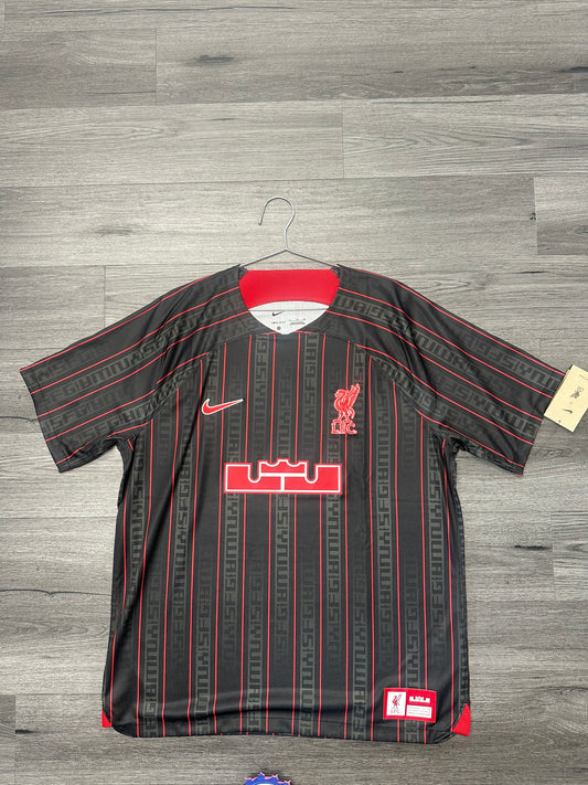 Nike LeBron x Liverpool F.C. Dri-FIT Stadium Soccer Jersey "Anthracite/Gym Red"