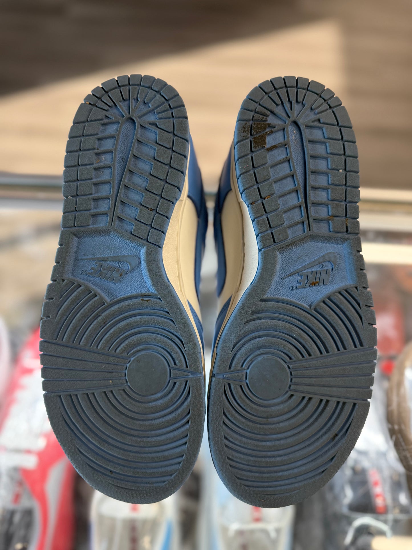 2021 Nike Dunk Low "Coast"