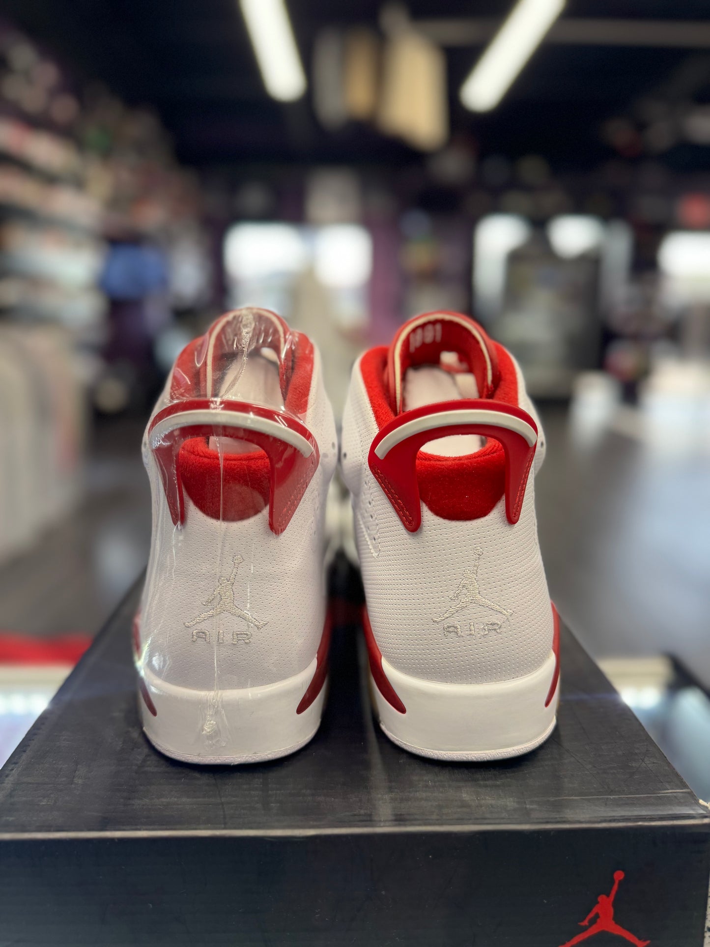 2017 Air Jordan Retro 6 "Alternate Hare"