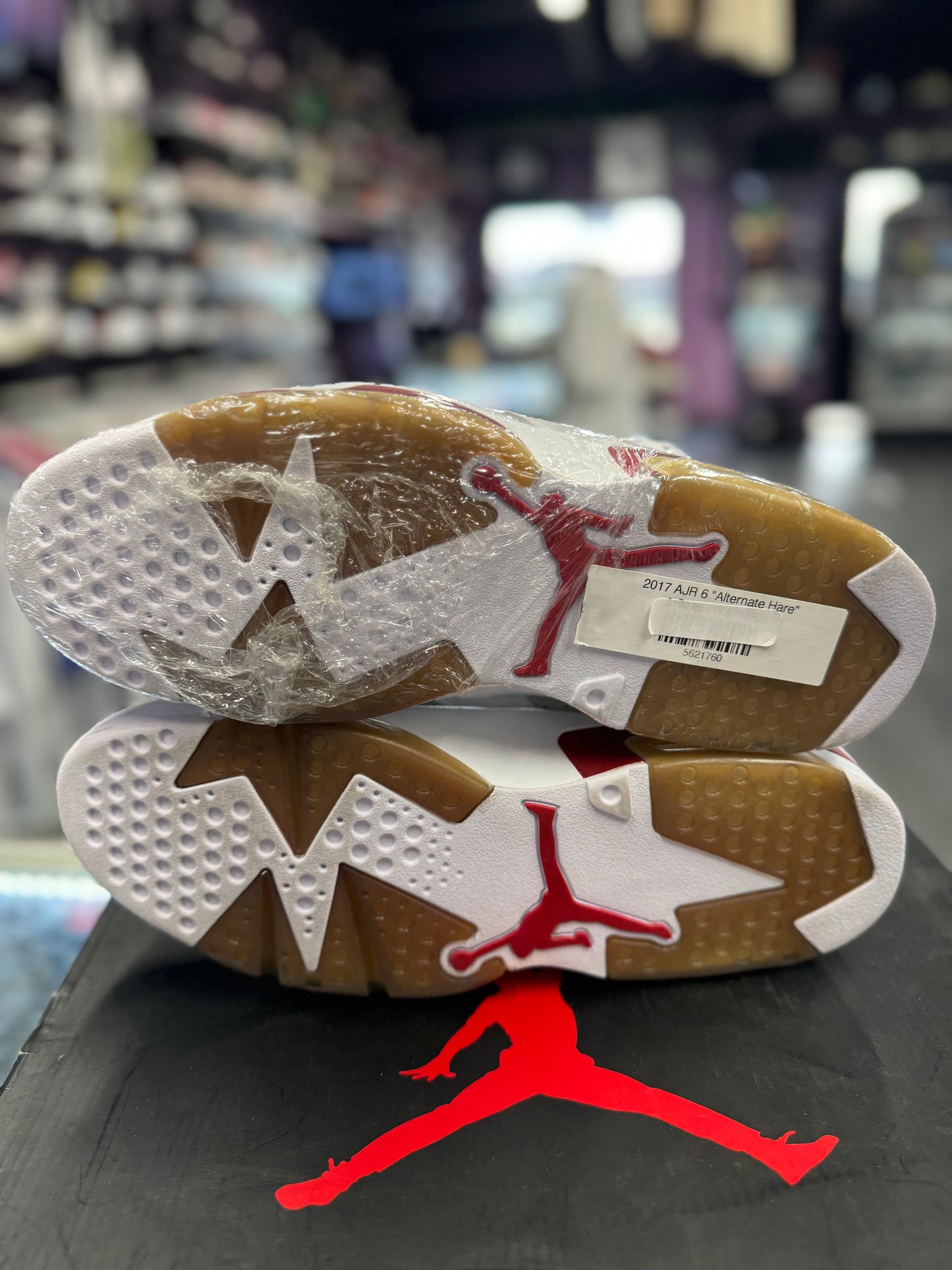 2017 Air Jordan Retro 6 "Alternate Hare"