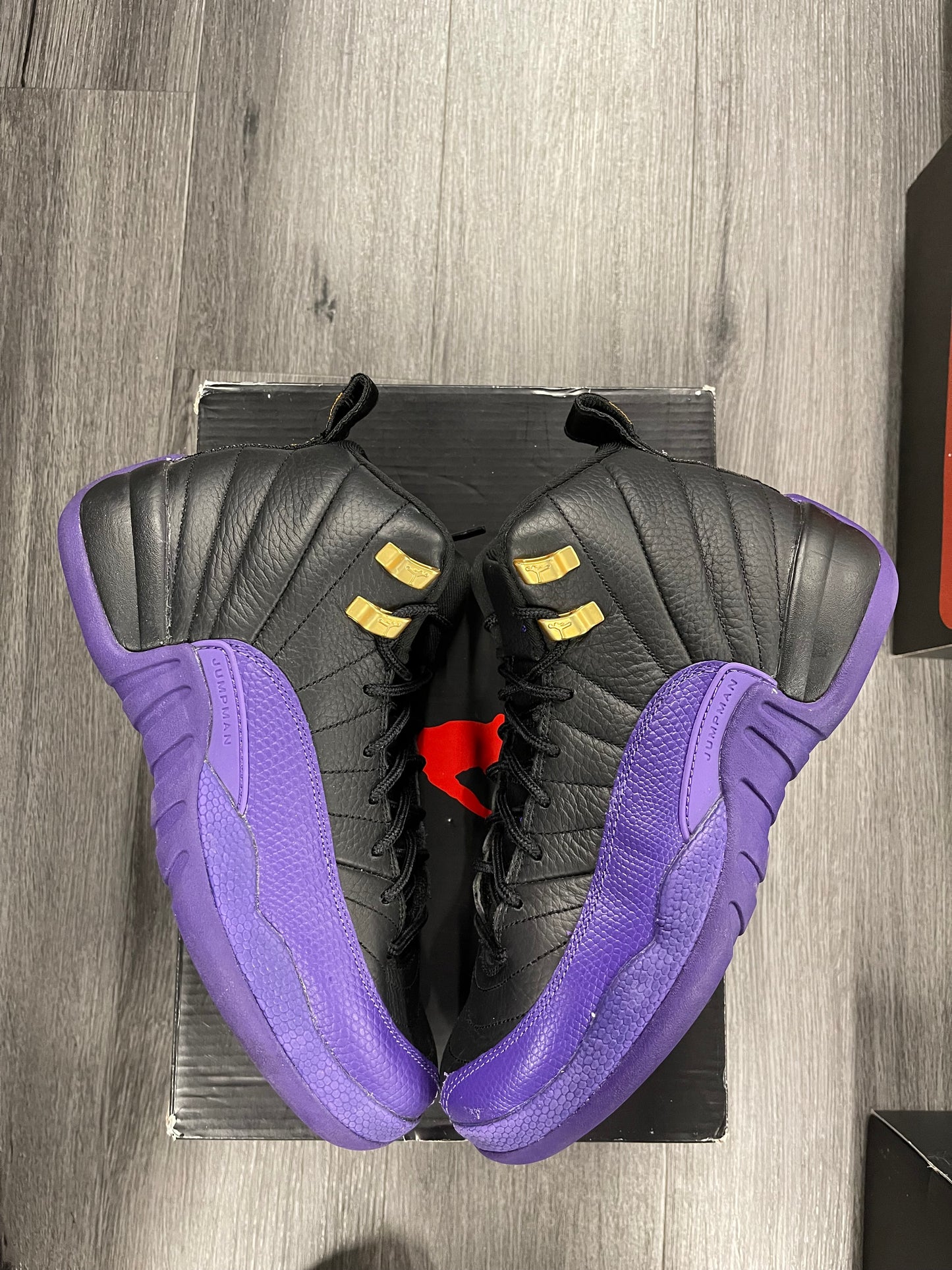 2023 Air Jordan Retro 12 "Field Purple" (GS)