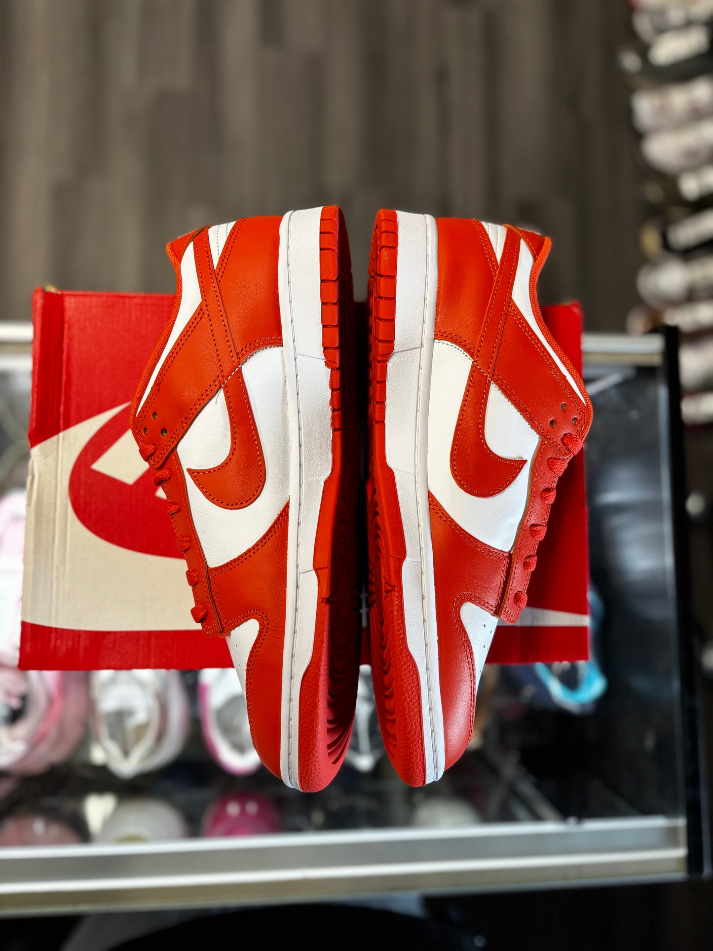 2024 Nike Dunk Low "Cosmic Clay"