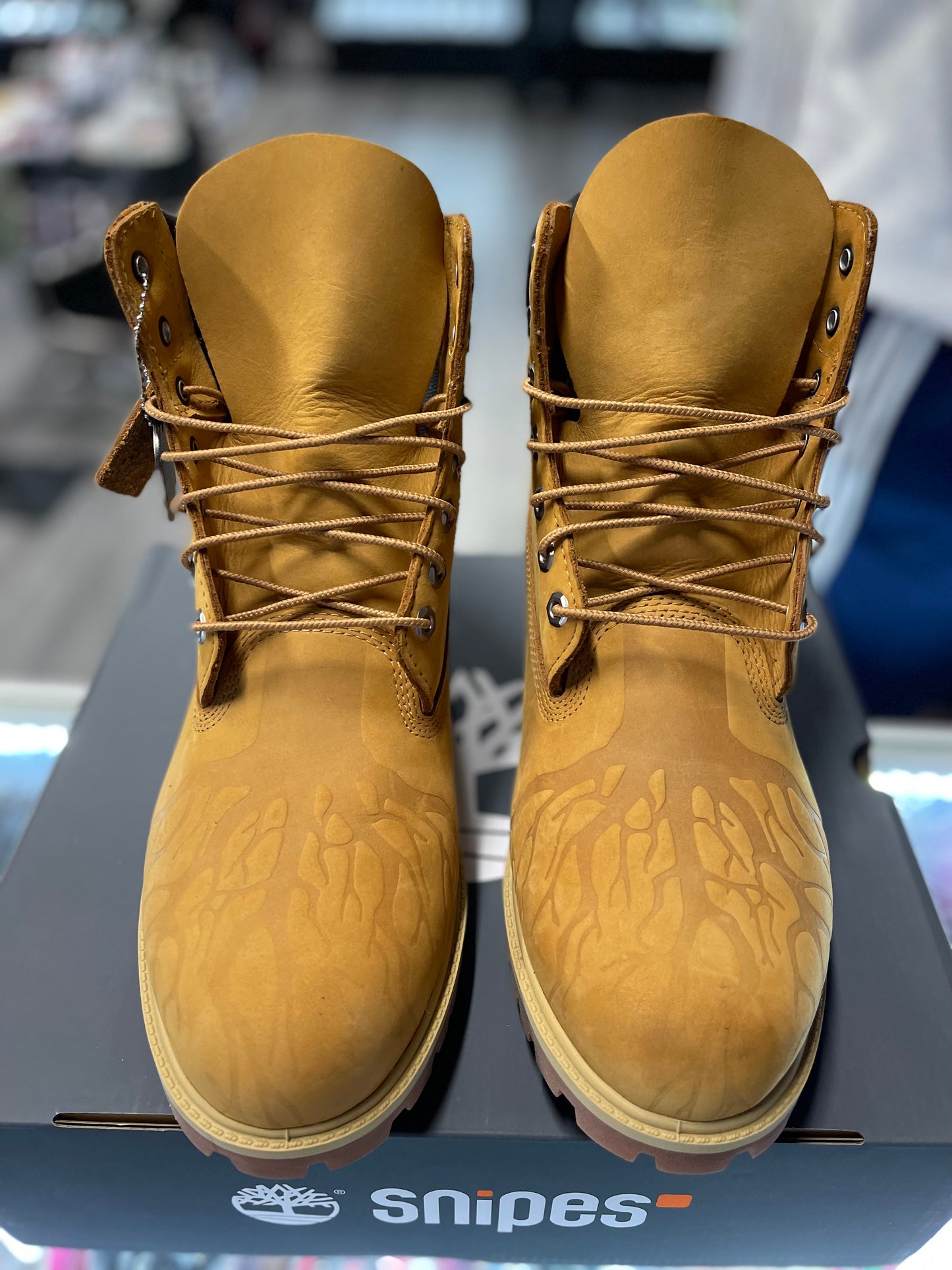 2025 Timberland 6" Premium Boot "Snipes Rooted In Concrete