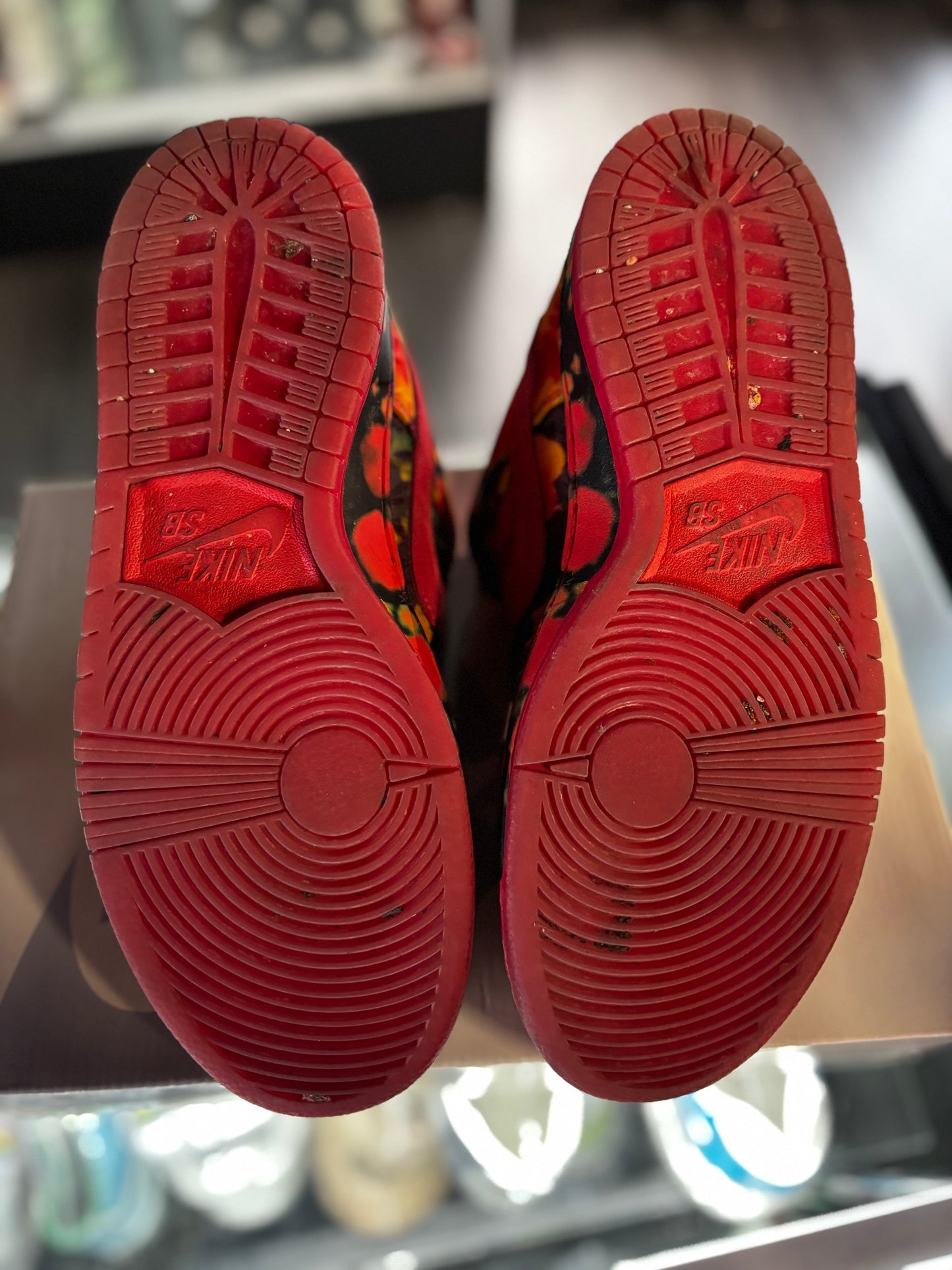 2024 Nike SB Dunk Low "The Wizard of Oz Poppy"