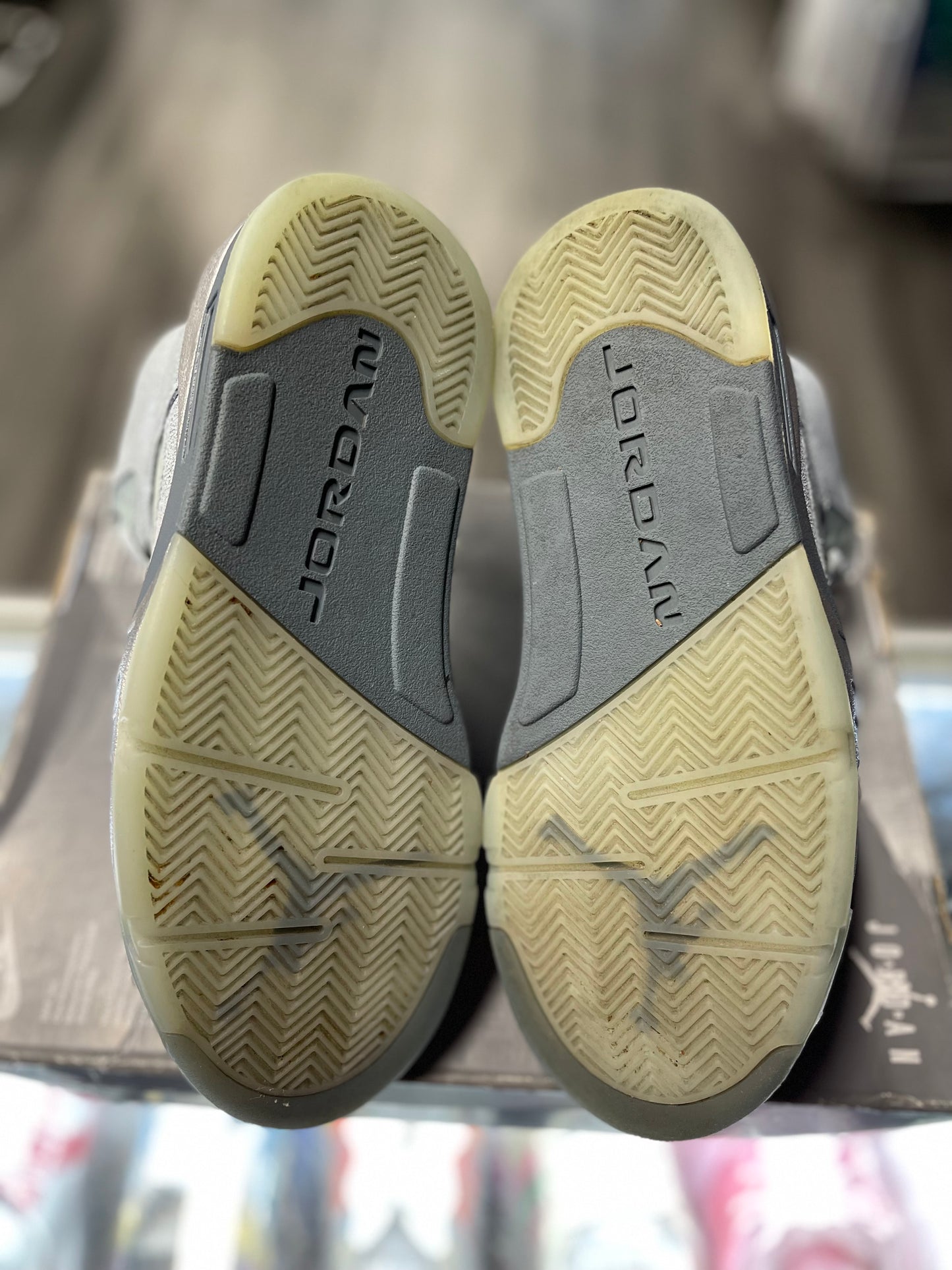 2021 Air Jordan Retro 5 "Bluebird" (W)