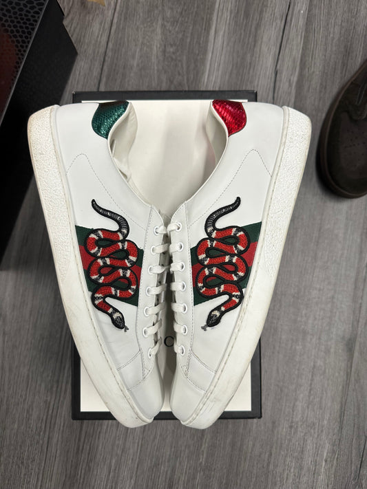 Gucci Ace Low "White/Snake"